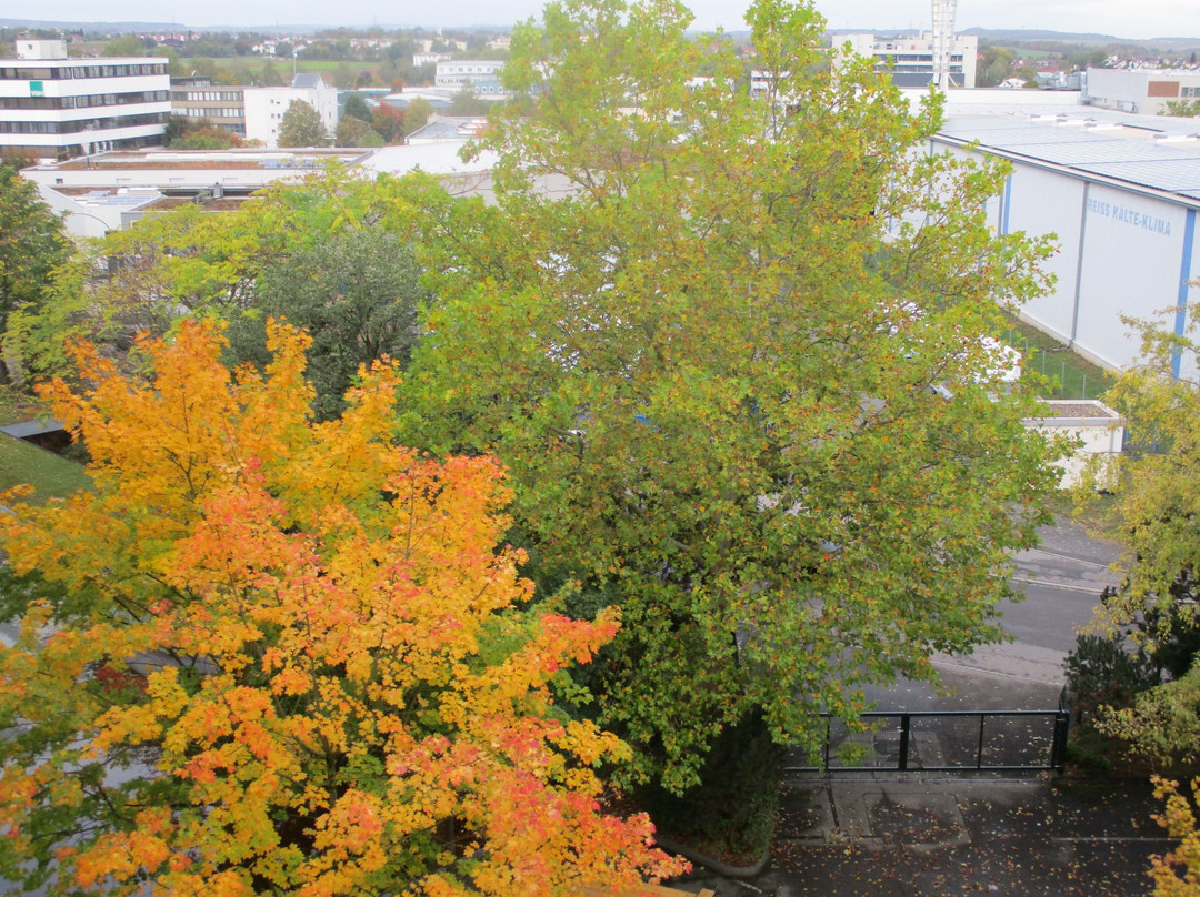 阿巴科酒店主图