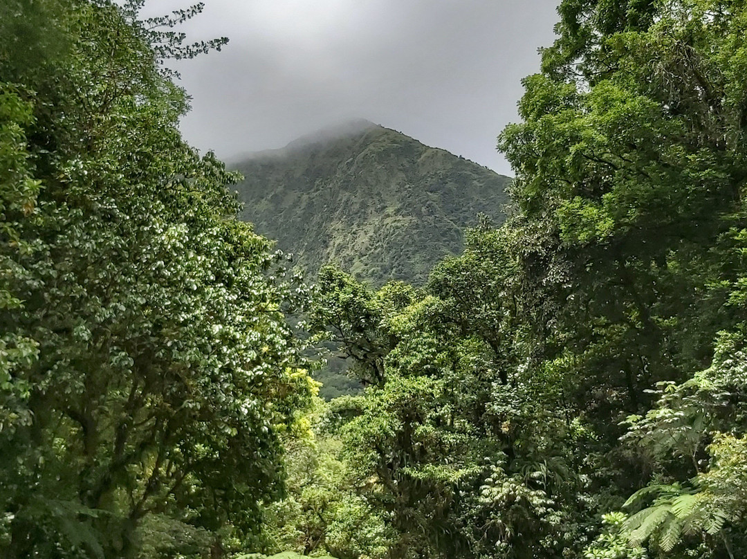 MARTINIQUE BEST SECRET景点图片