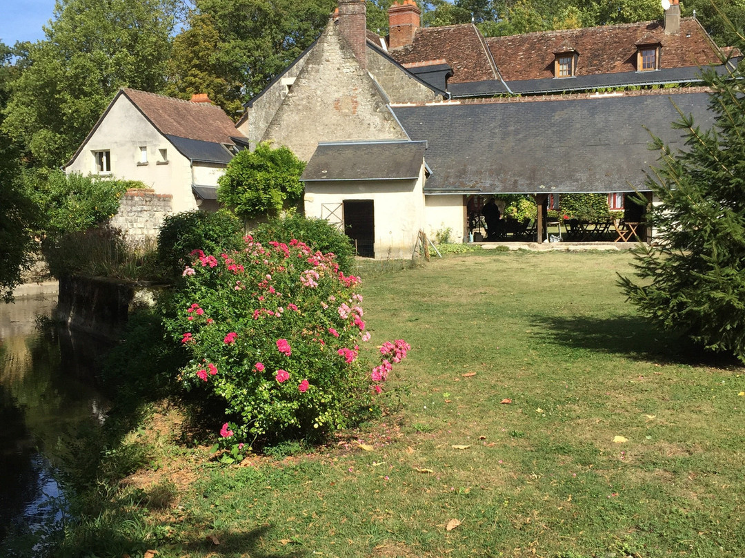 Le Moulin Des Landes主图