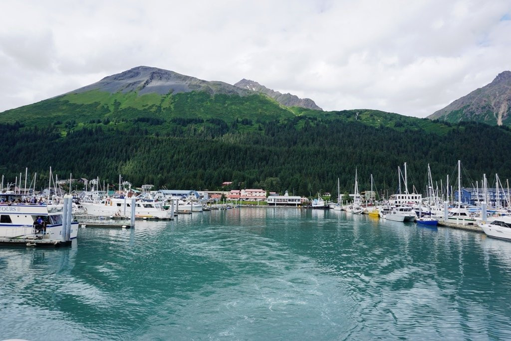 苏厄德旅游景点-Seward Boat Harbor