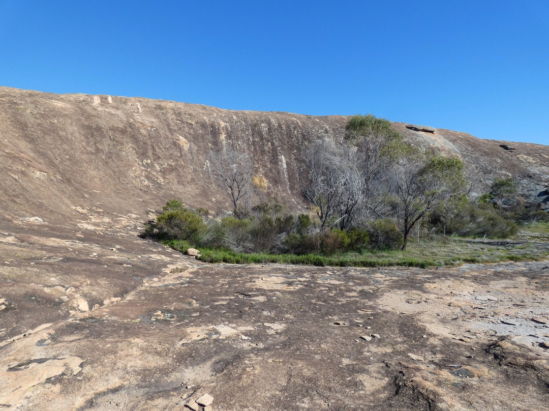 Hidden Hollow-Narembeen必去景点
