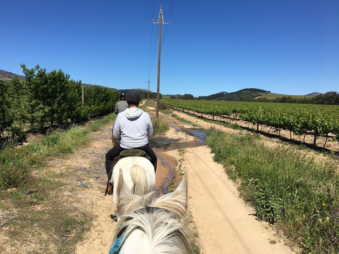 Cape Winelands Riding-Simondium必去景点