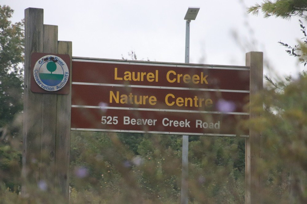 Laurel Creek Conservation Area景点图片