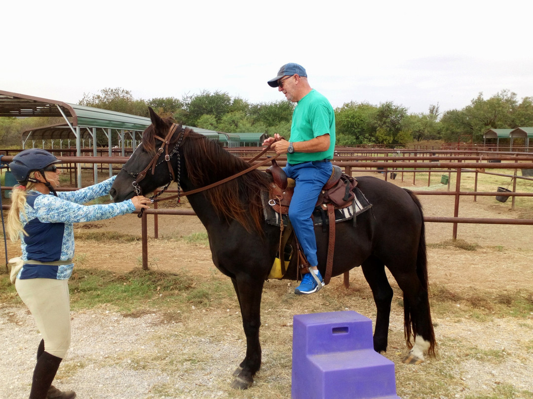 Black Mustang Ranch-Pilot Point必去景点