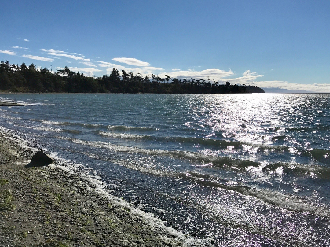 Cline Spit County Park景点图片