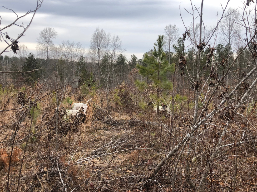 Rasawek Hunting Preserve-Goochland必去景点
