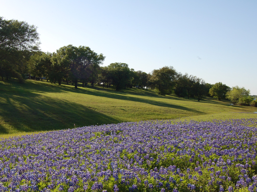 McCown Valley Park