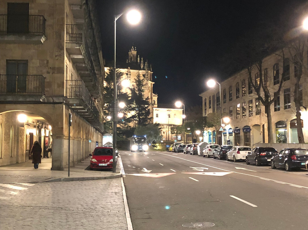 Palacio de la Salina-萨拉曼卡必去景点