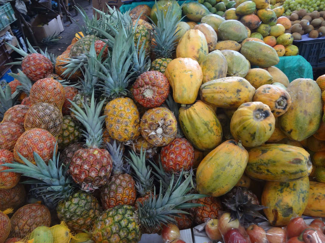 Toribio旅游景点-Indigenous Market