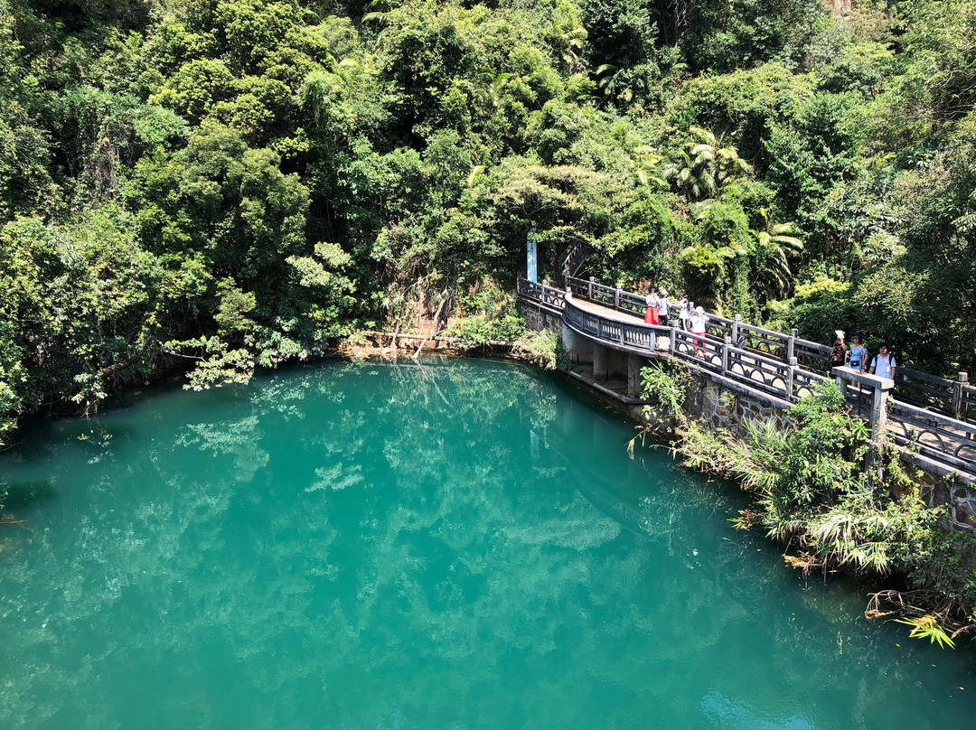 鼎湖山景点图片