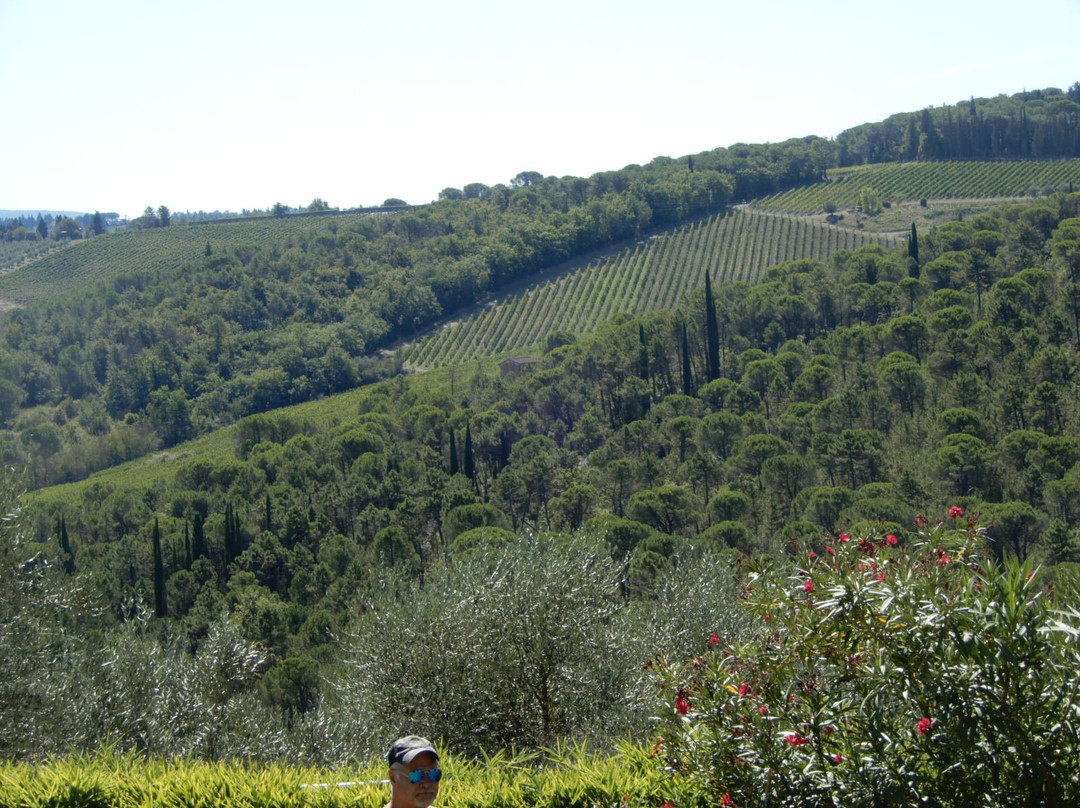 Agriturismo Villa il Leccio主图