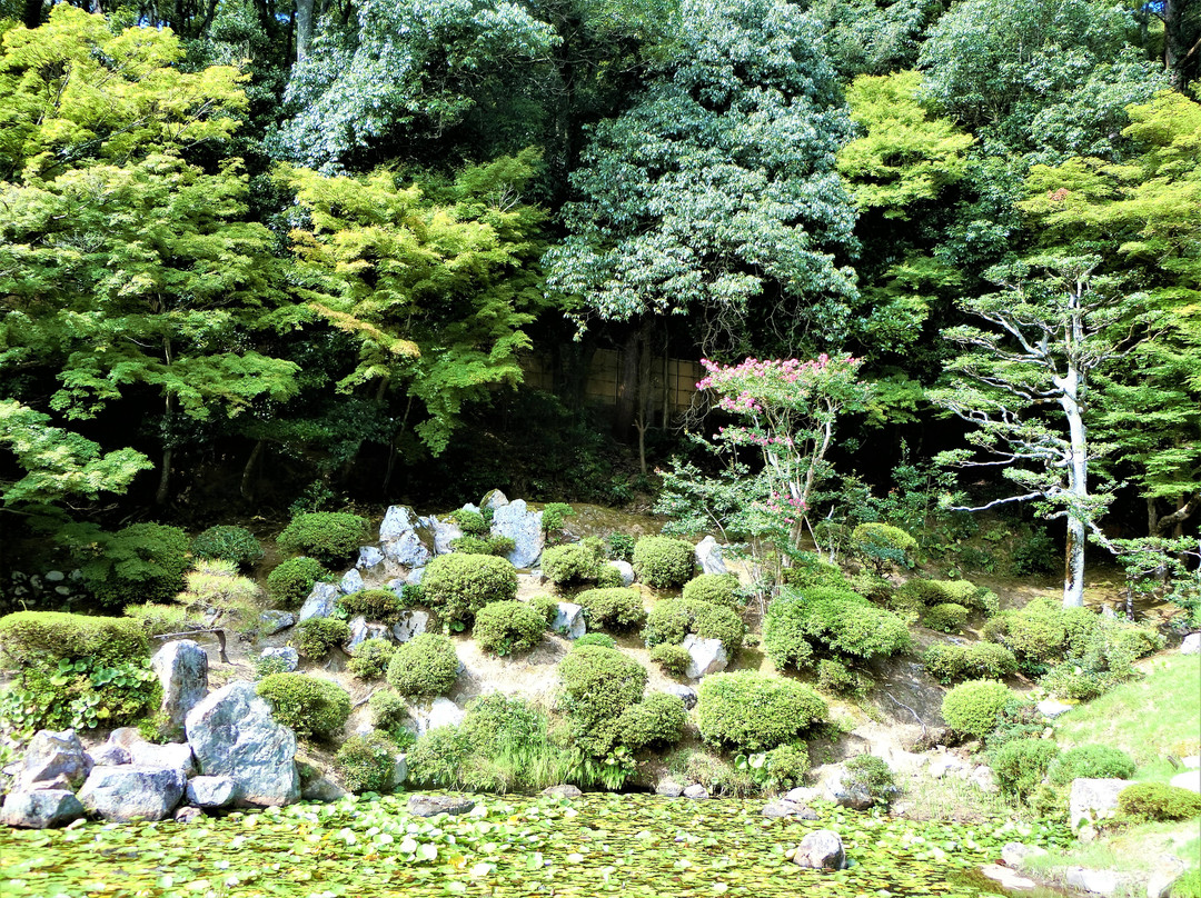Kozen-ji Temple-鸟取市必去景点