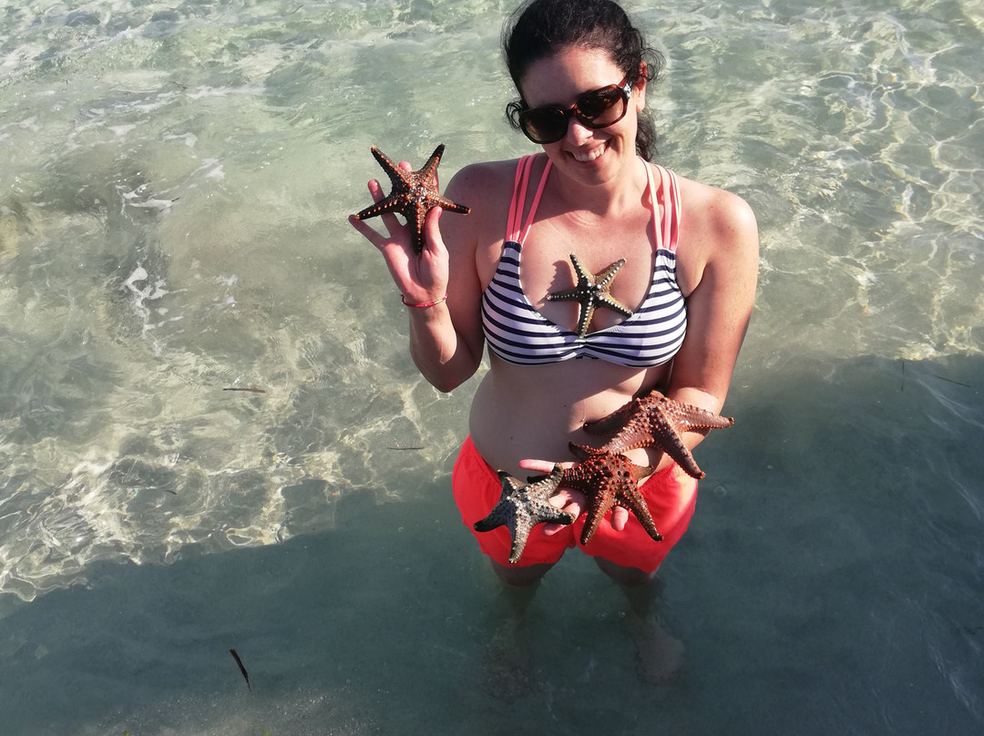 Uroa Blue Adventure-乌罗阿必去景点