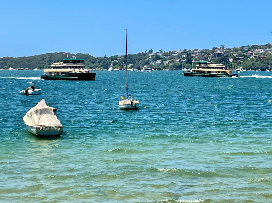 Rose Bay Sea Wall & Promenade景点图片