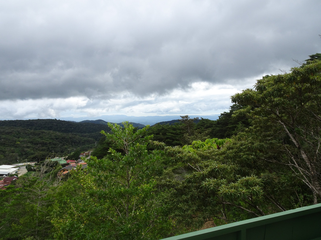 Los Pinos - Cabañas & Reserva主图