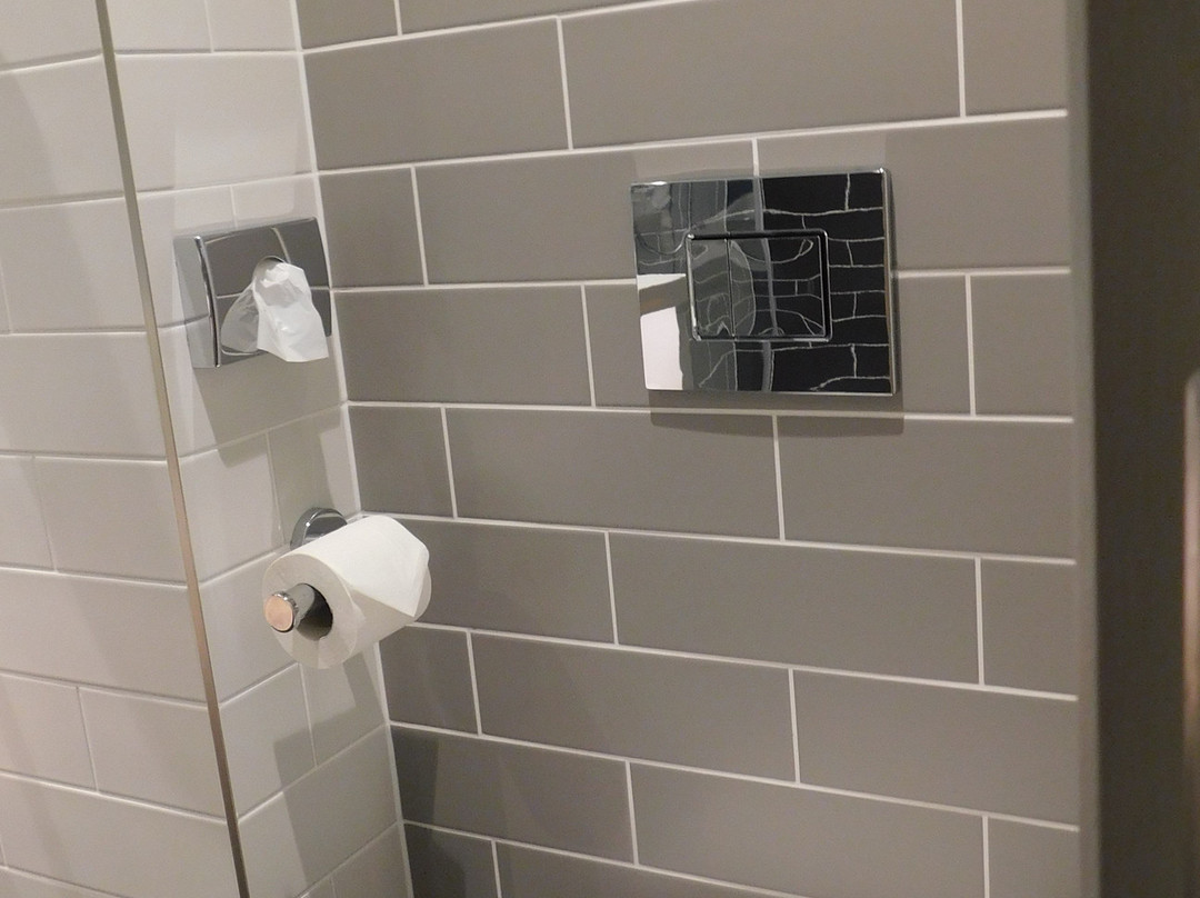 都柏林机场智选假日酒店主图