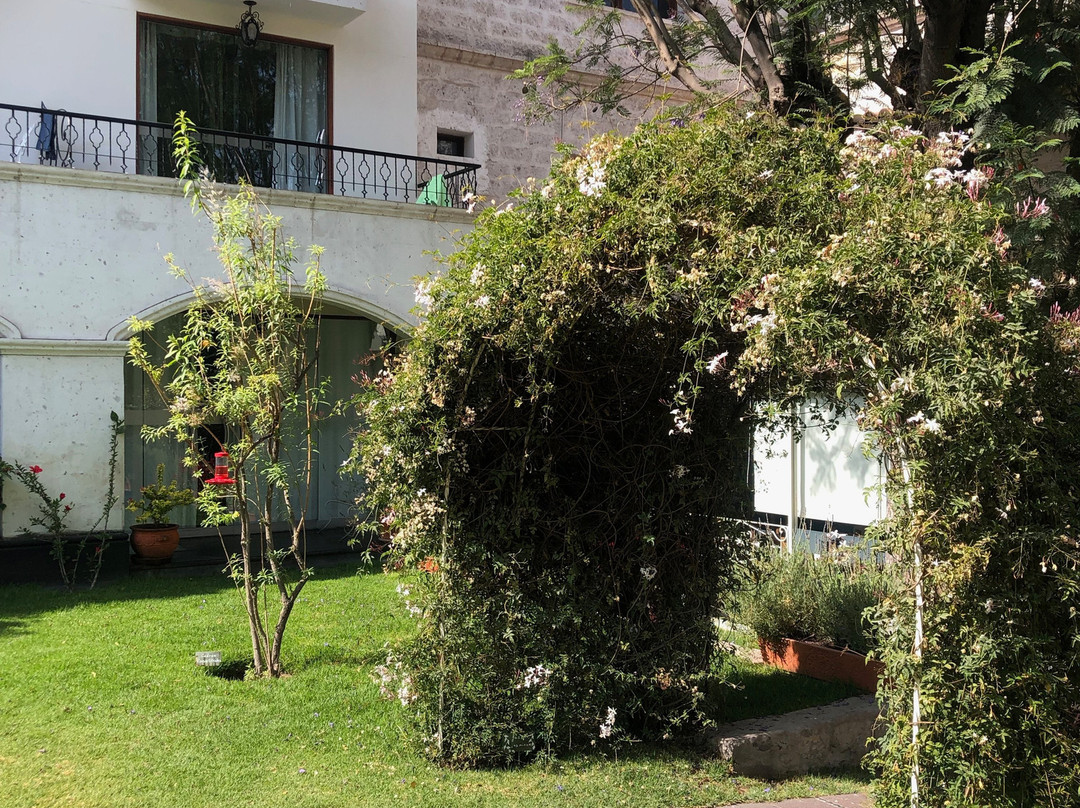 Hotel Boutique Villa Elisa主图