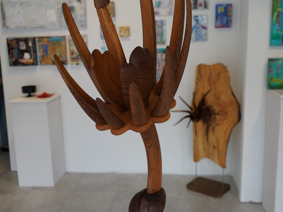SBG Fine Arts Gallery景点图片