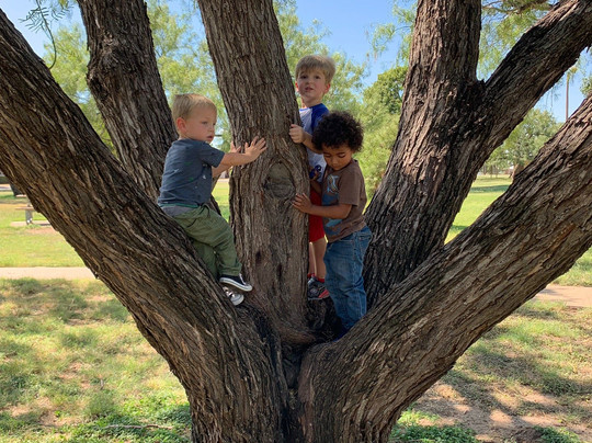 Mountainview Park-圣安吉洛必去景点