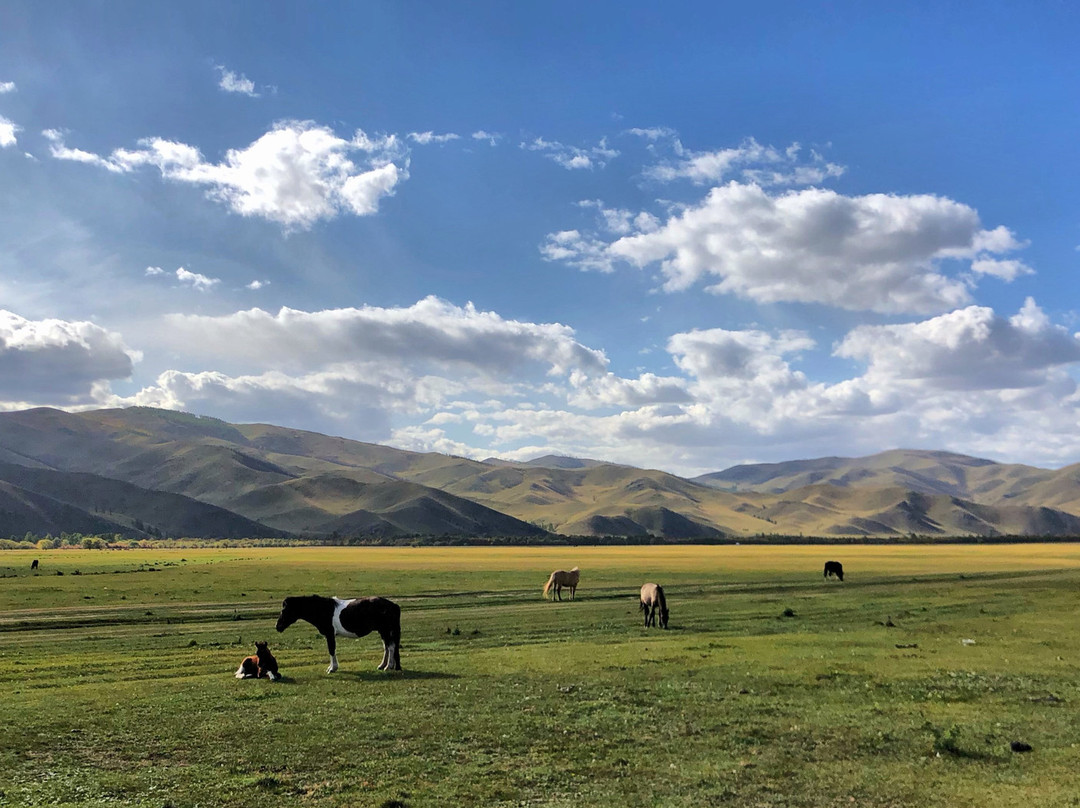 Dream Adventure Mongolia景点图片