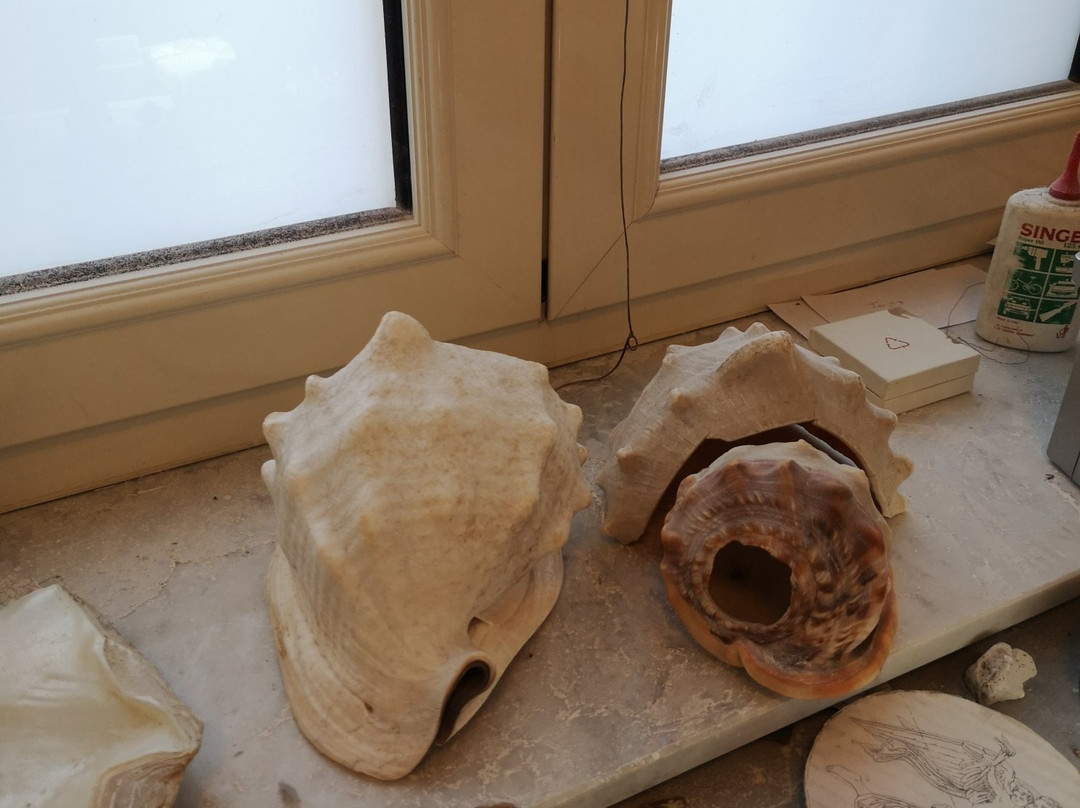 Porto di Torre del Greco-Torre Del Greco必去景点