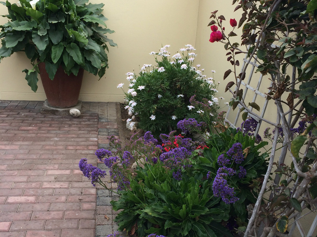 Cornerstone Guesthouse主图