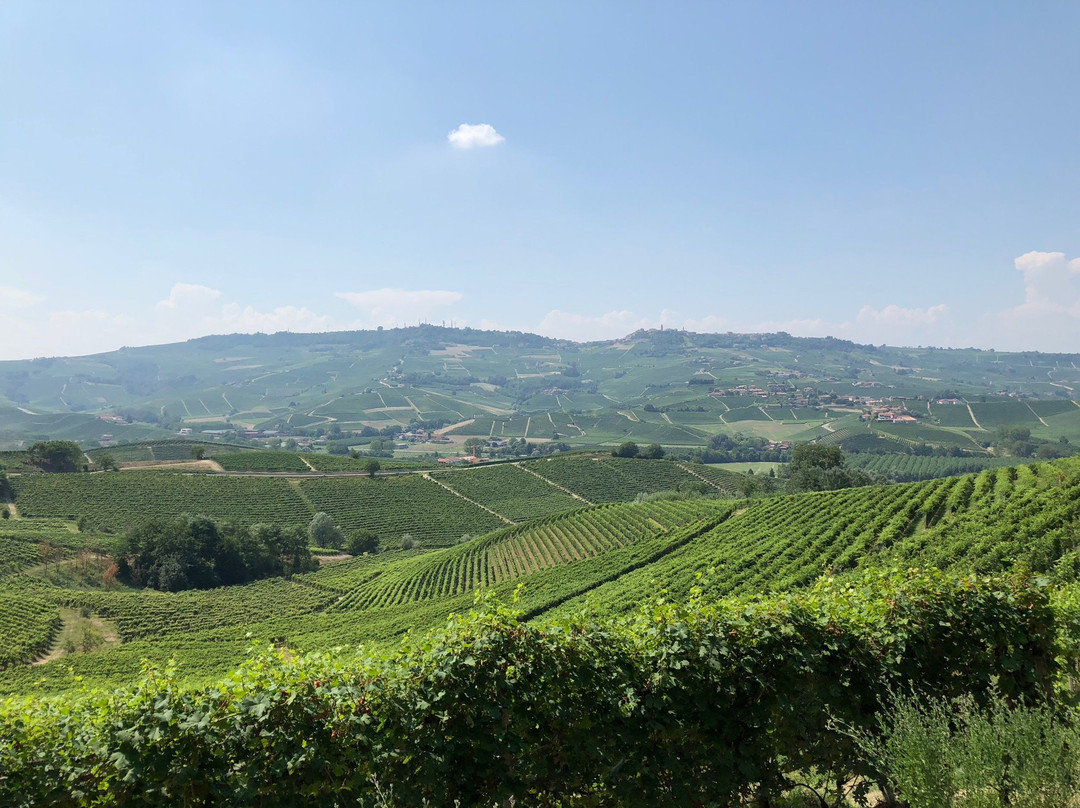 Tenuta Vitivinicola Cavallotto-Castiglione Falletto必去景点