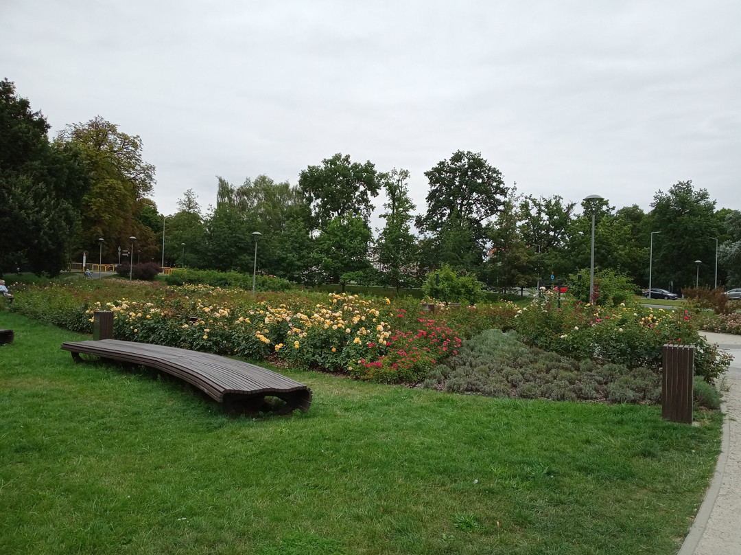 Park Jagielloński w Stargardzie景点图片