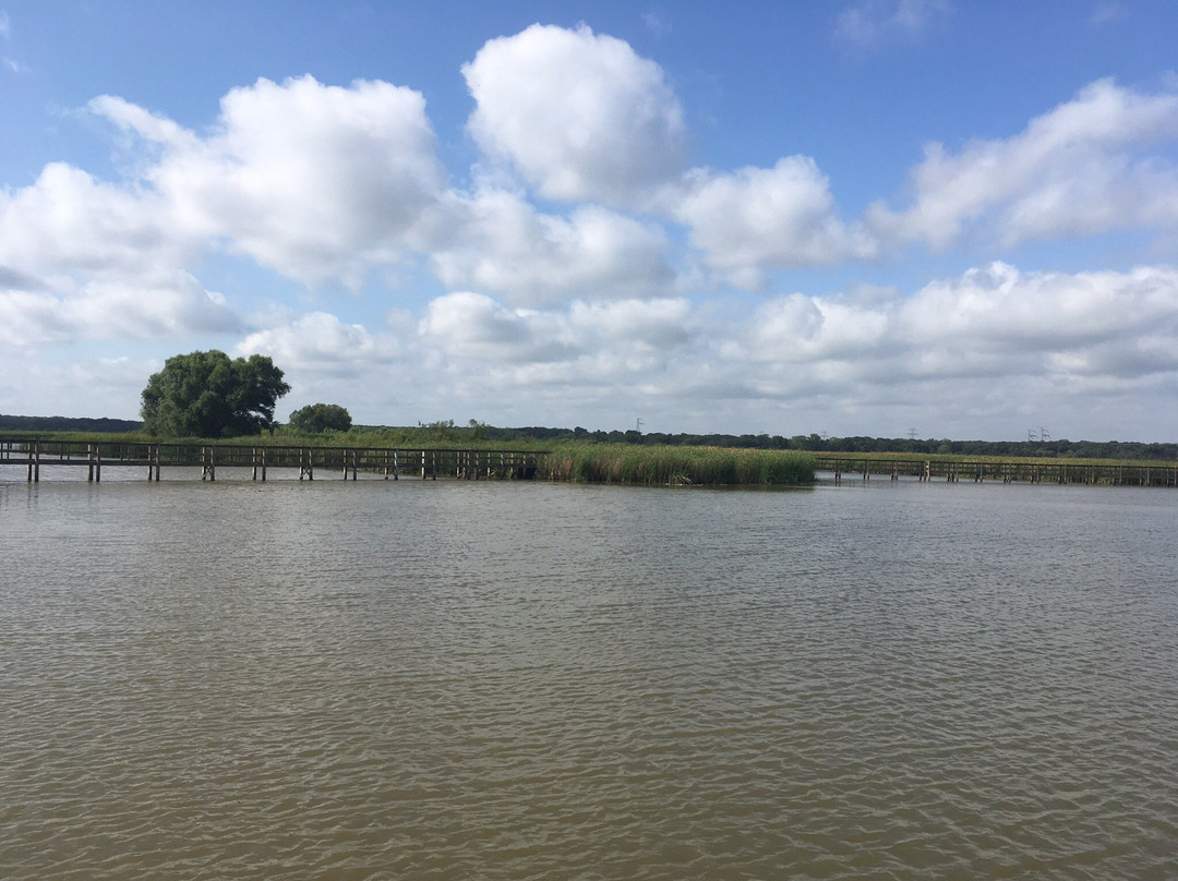John Bunker Sands Wetland Center-Seagoville必去景点
