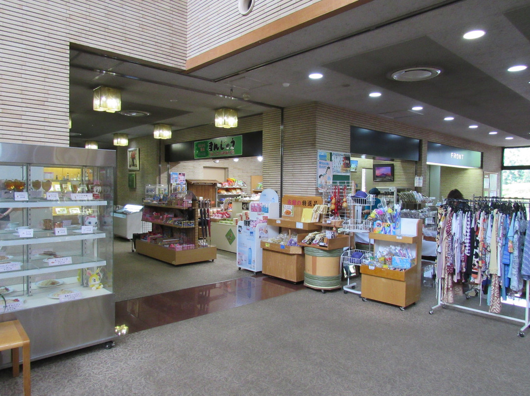 Ikoinomura Ashigara主图