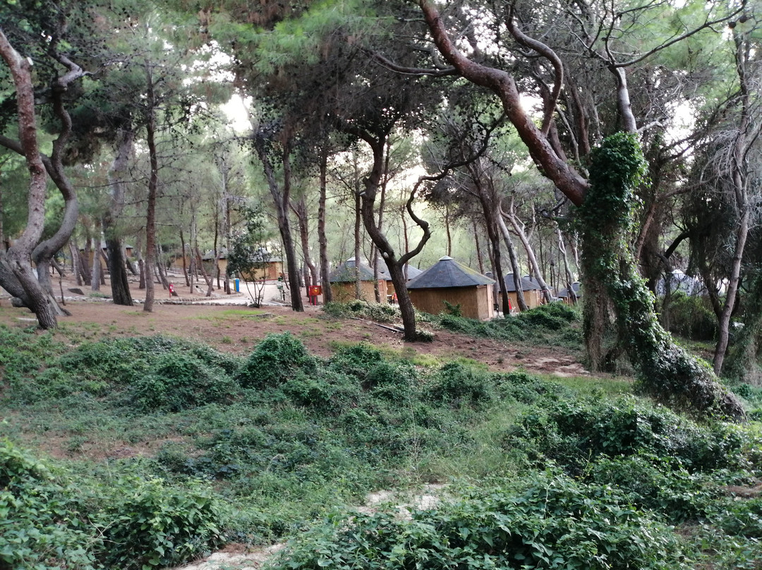 伊索莱特雷米蒂意大利旅游俱乐部露营地主图