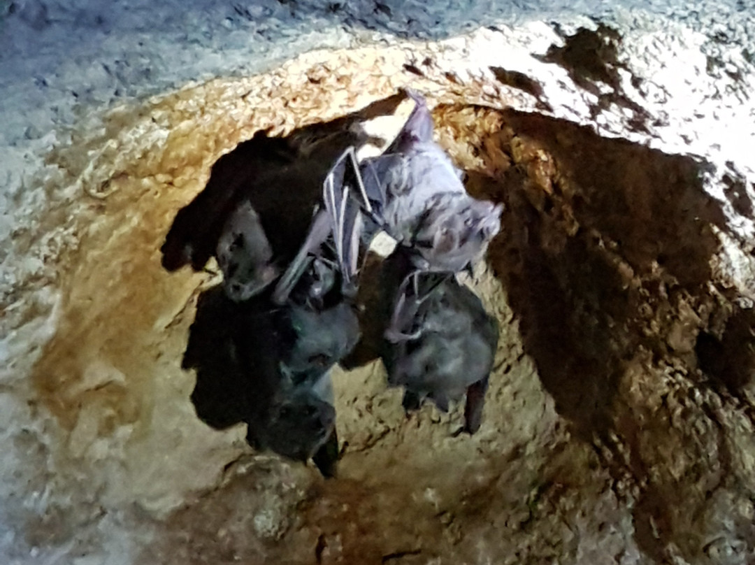 Varadero Yincia's House主图