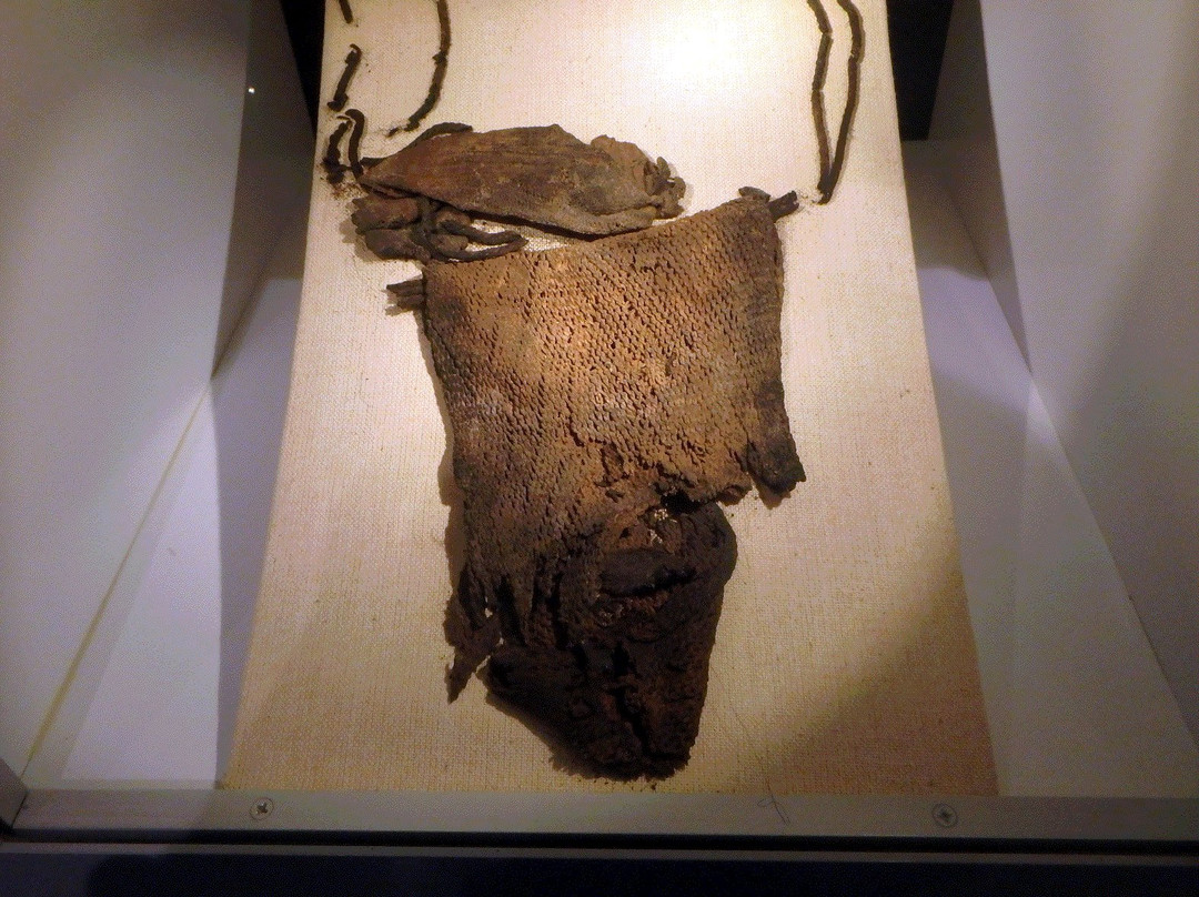 Museo Momias Chinchorro-阿里卡必去景点