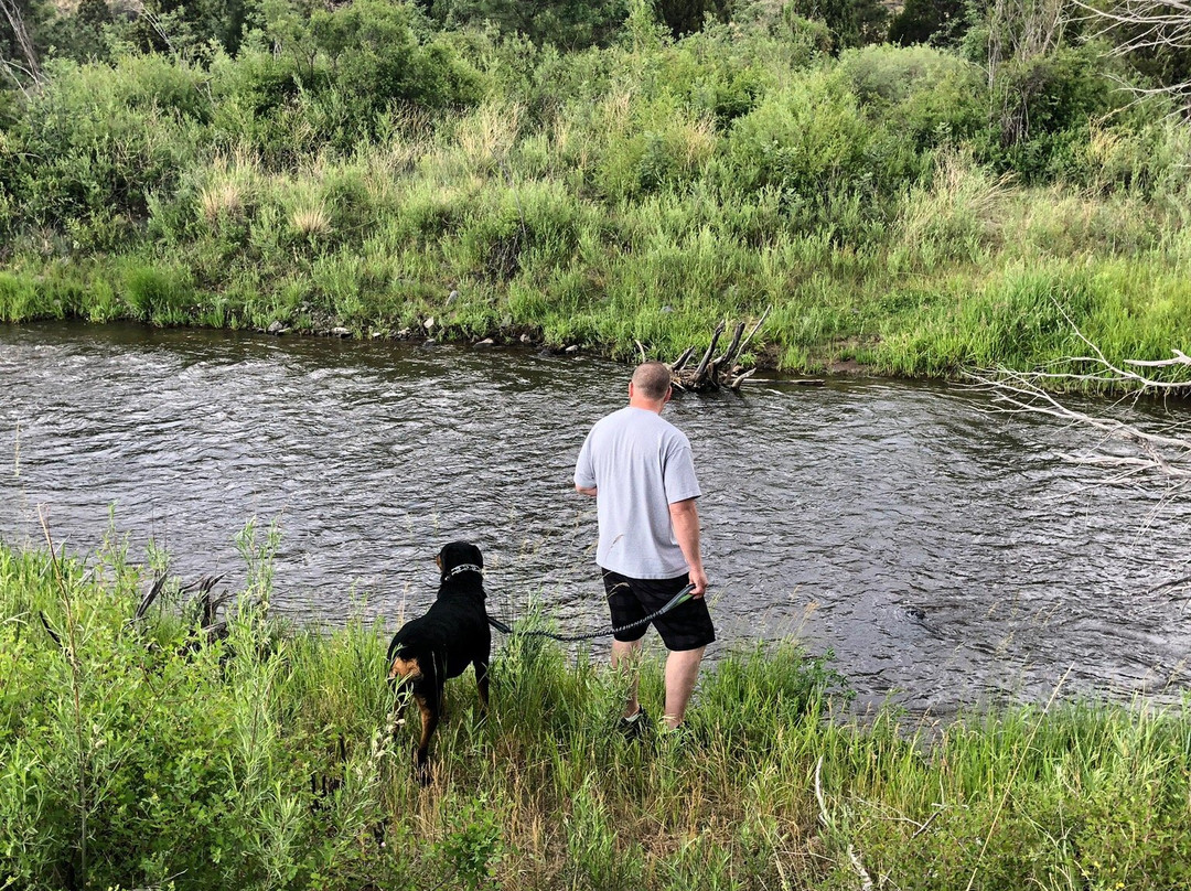 X Diamond & MLY Ranch主图