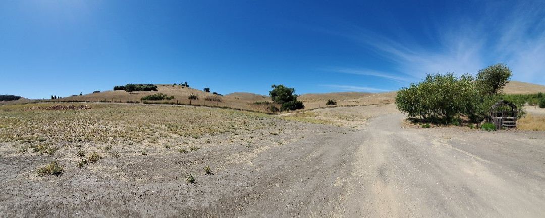 The Groves on 41景点图片