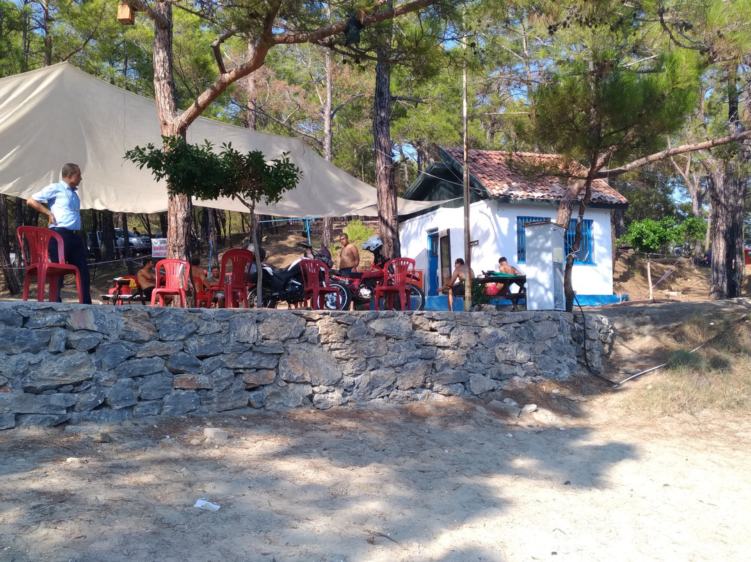 Dikilitas Tabiat Parki景点图片