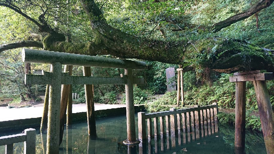 Mitarashi Pond-鹿岛市必去景点