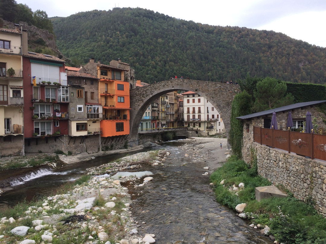 Hotel Camprodon主图