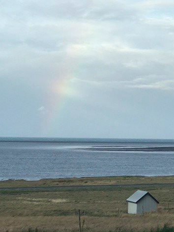 The Garage - Studio Apartments主图