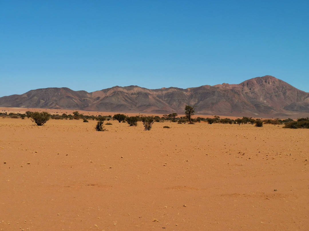 NamibRand Nature Reserve景点图片