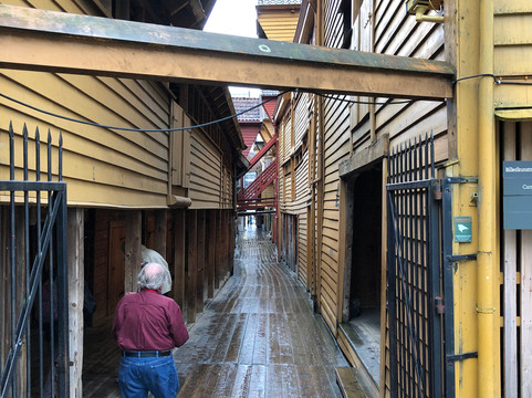 Bryggen Guiding - A Walk With A Historical Expert-卑尔根必去景点