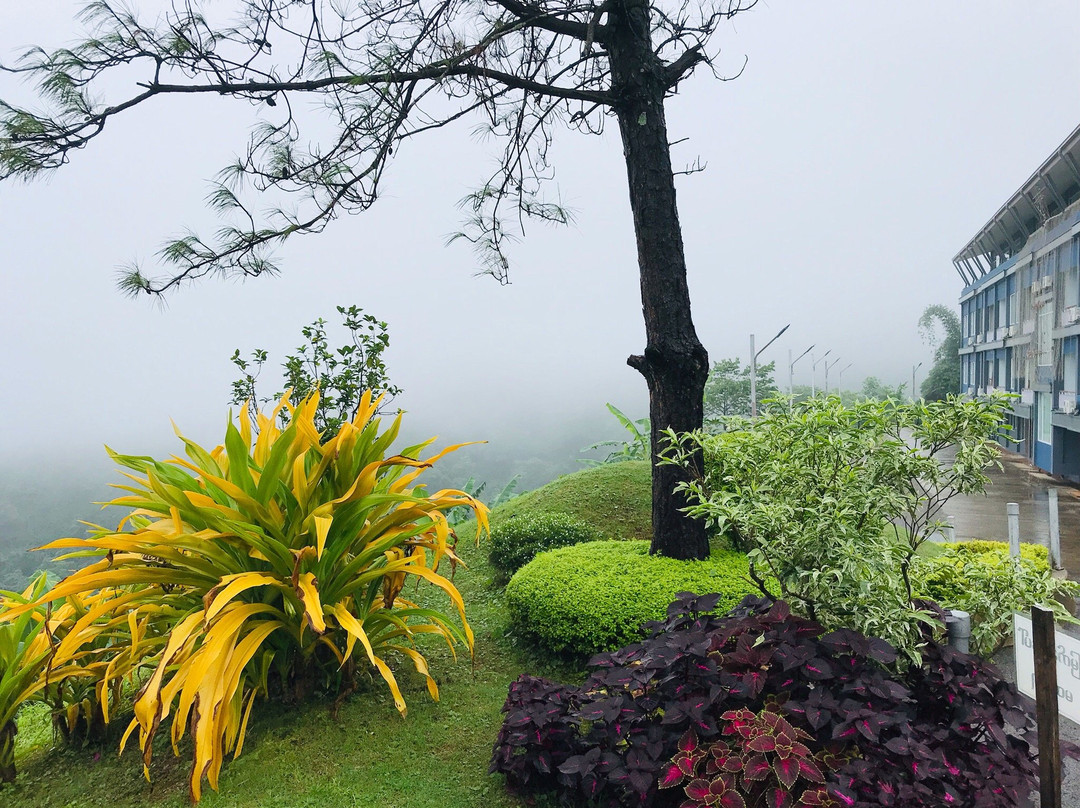 Golden Butterfly Hotel Mogok - Burmese Only主图