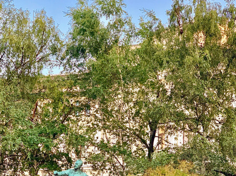 Friendly Local Guides Moscow-莫斯科必去景点