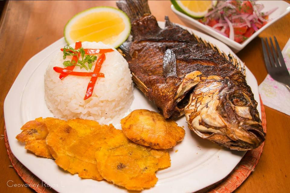 Cabañas Bird Planet主图