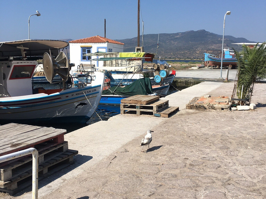 Skala Kallonis Beach-Skala Kallonis必去景点