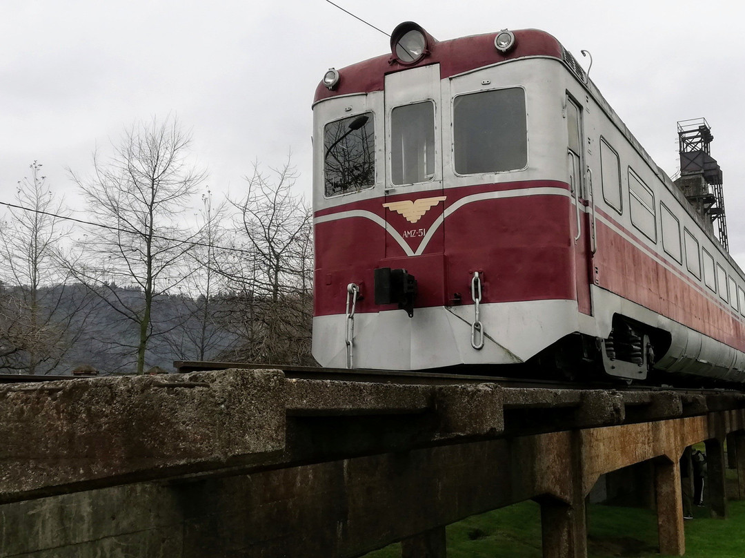 Museo Nacional Ferrioviario Pablo Neruda Temuco-特木科必去景点
