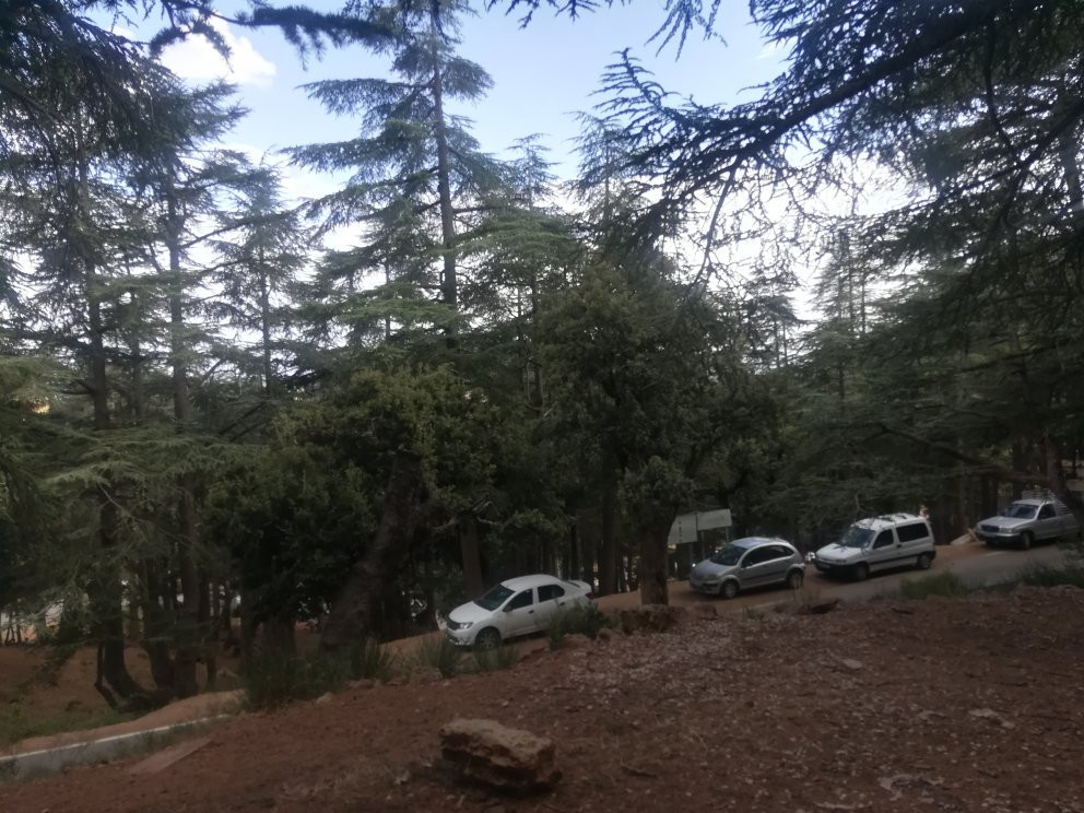 Djurdjura National Park景点图片