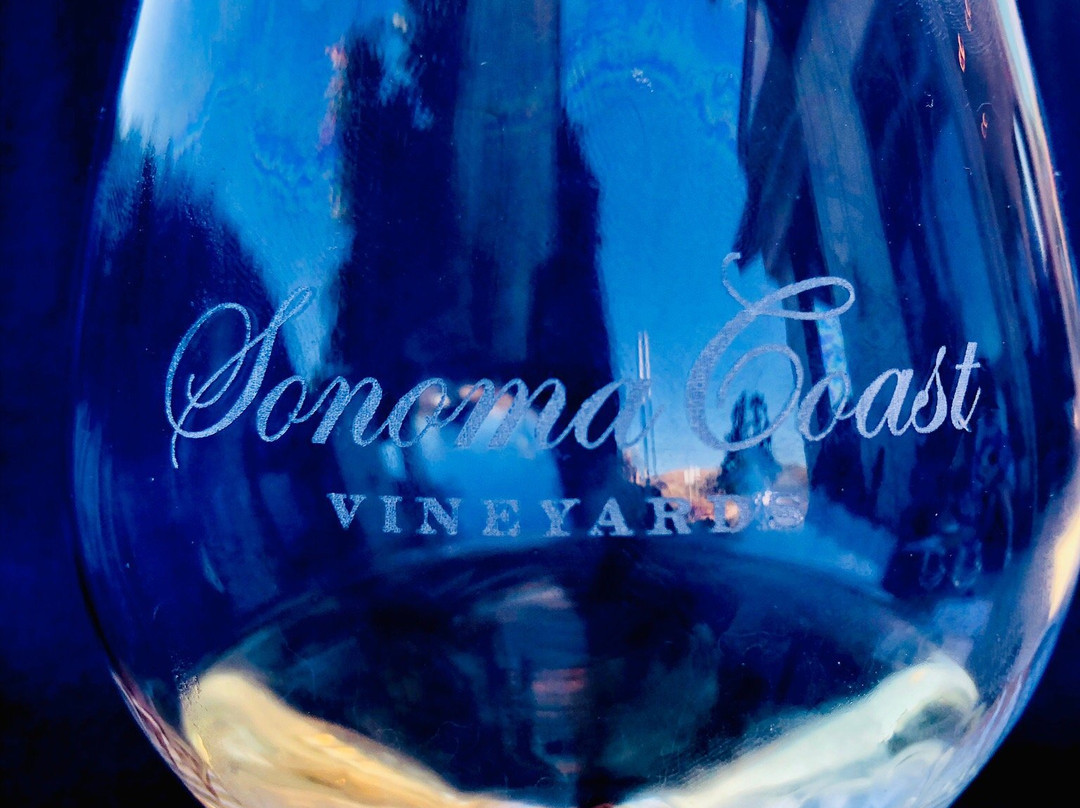 Sonoma Coast Vineyards景点图片