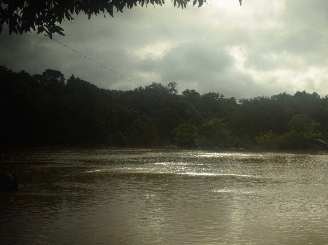 Dandeli Wildlife Sanctuary景点图片