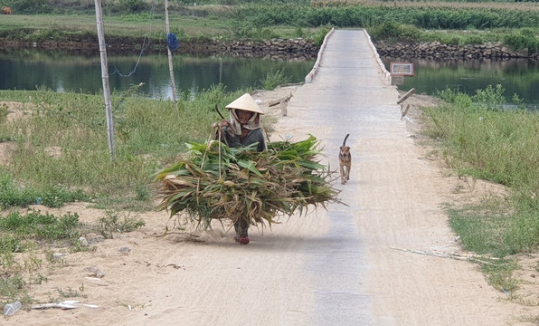 Pacific Boat-会安必去景点